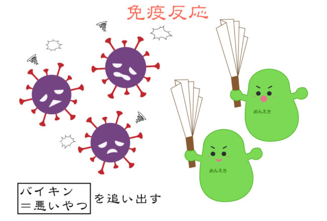 免疫反応の模式イラスト