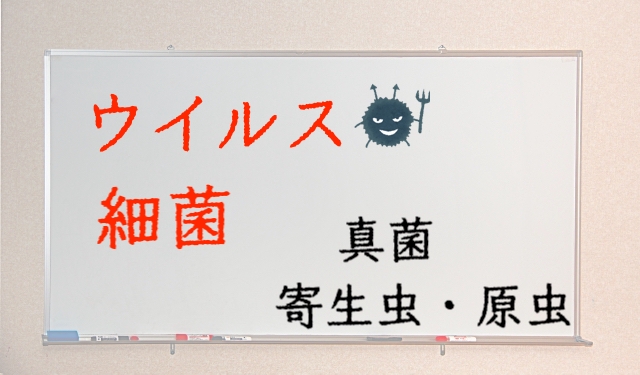 ウイルスとかバイキンの表