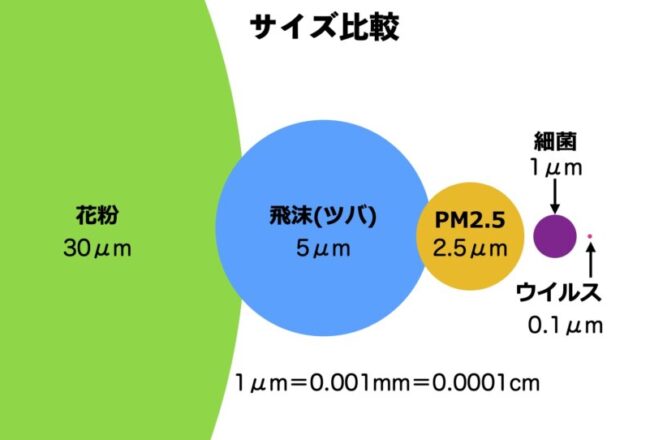 ウイルスとか花粉とかの大きさ比較図