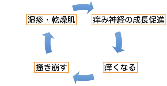 痒みのサイクル