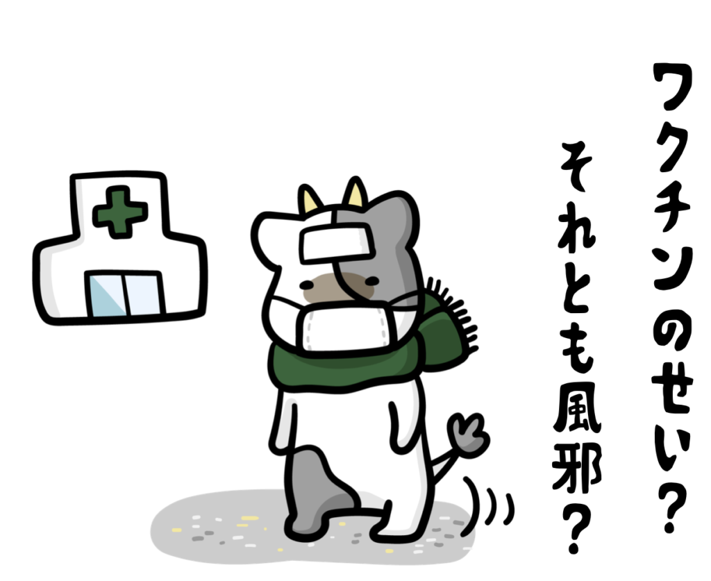風邪の牛