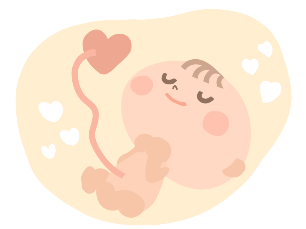 胎児